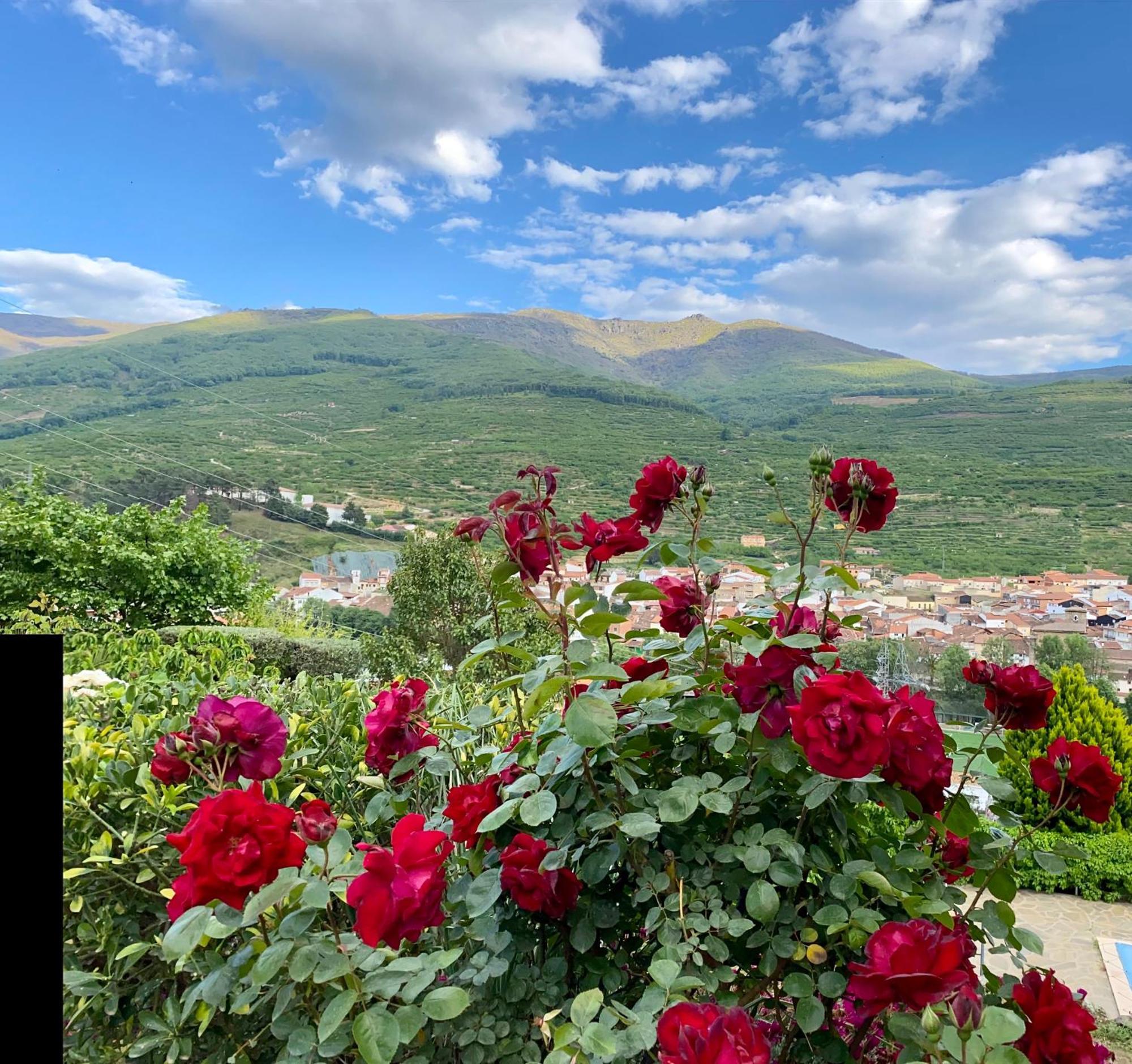 La Vina Villa Navaconcejo Buitenkant foto