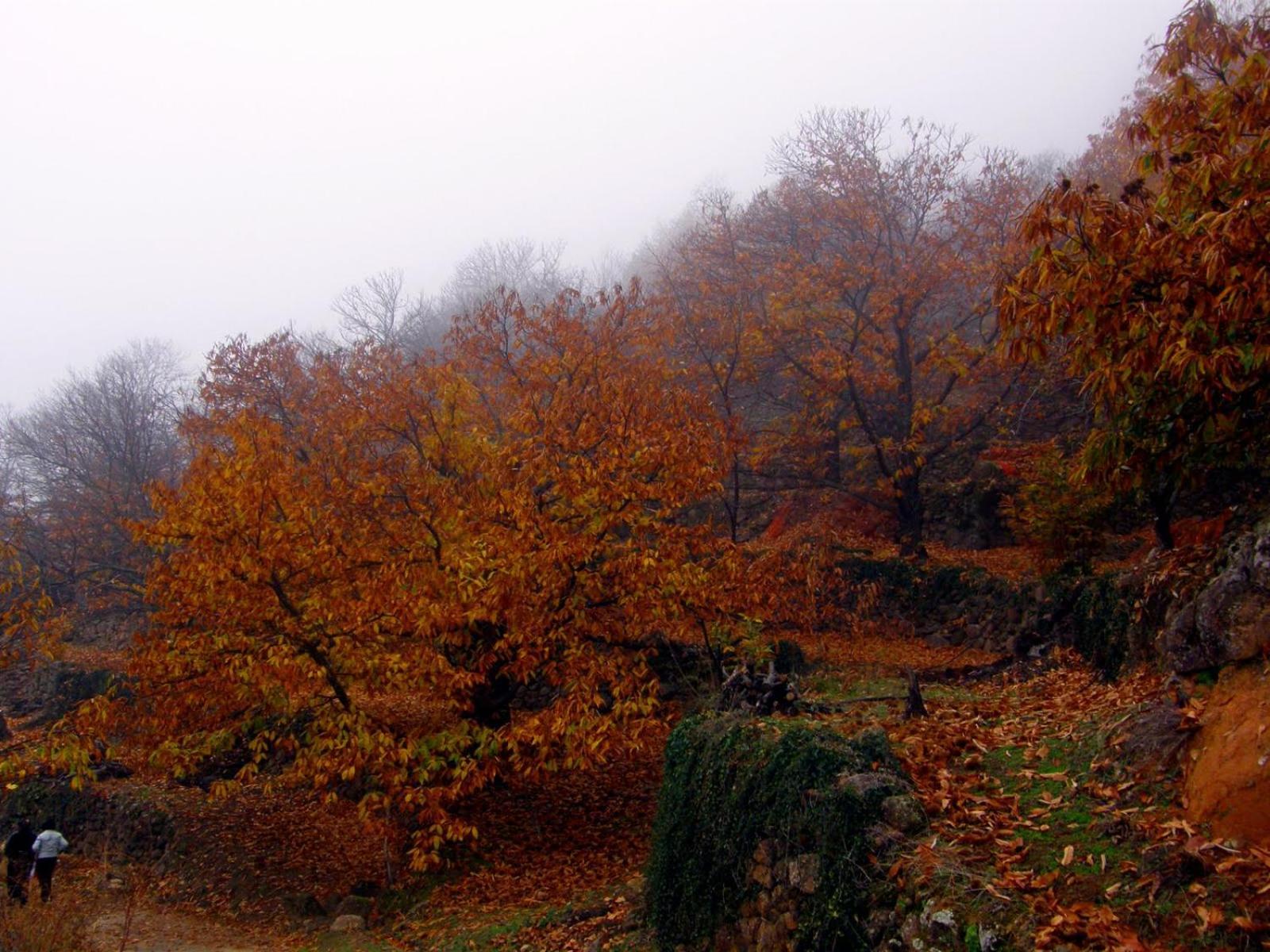La Vina Villa Navaconcejo Buitenkant foto